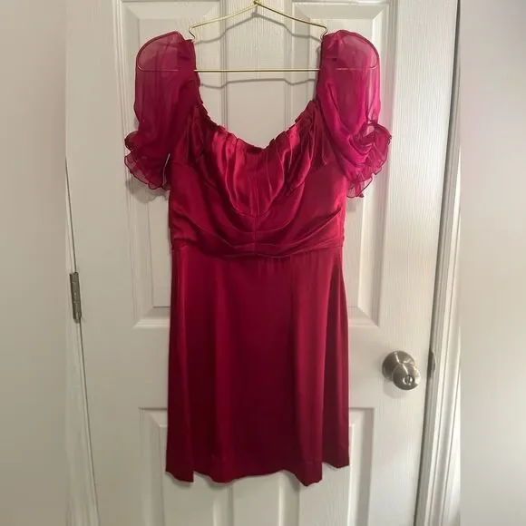 Alberta Ferretti *Raspberry* Puff Sleeve Midi Dress - Picture 9 of 12